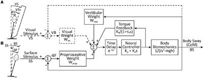 Sensory Re-weighting for Postural Control in Parkinson’s Disease